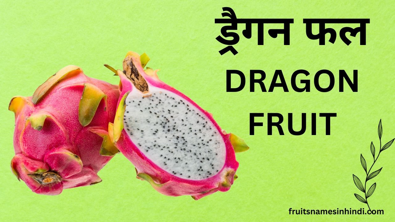 dragon fruit in hindi name in english