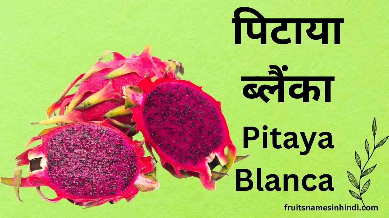 Dragon Fruit in hindi