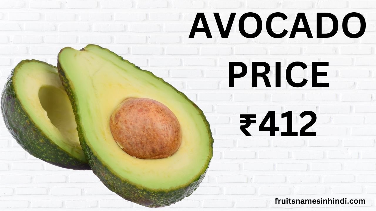 avocado price