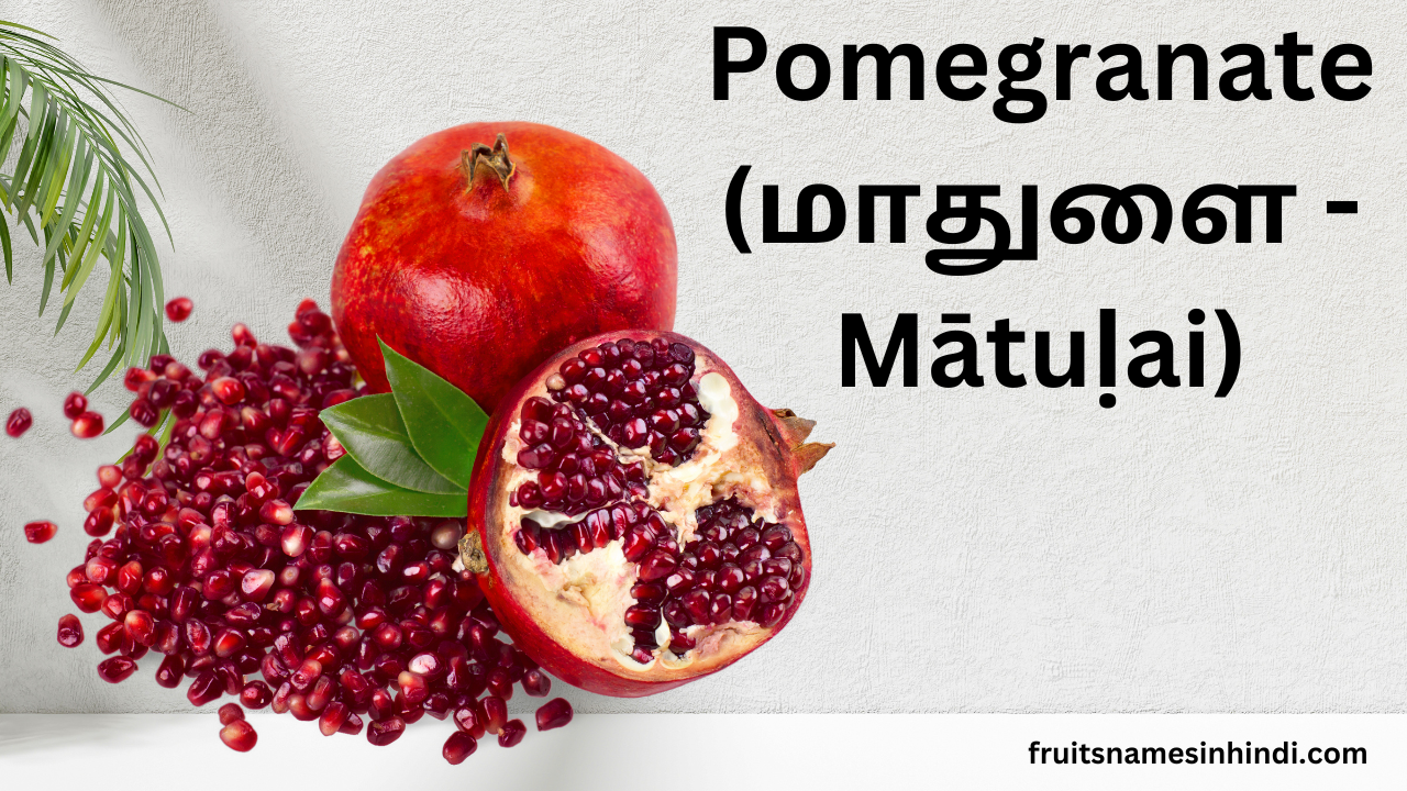 Fruits Name In Tamil with images