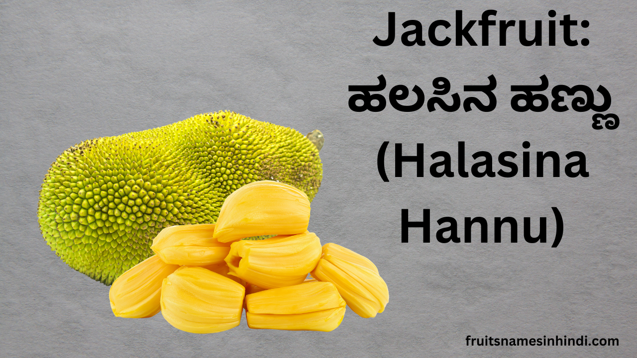 Jack Fruit (halasania Hannu)