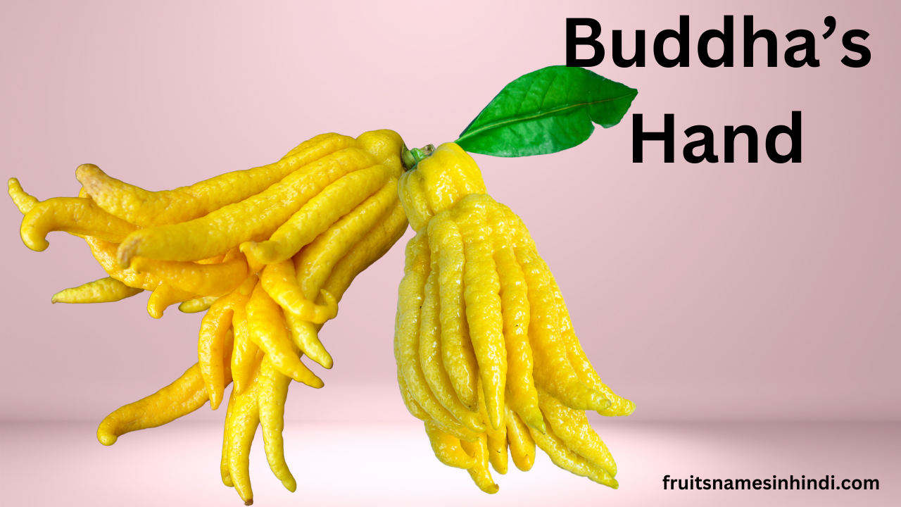 Buddha's Hand