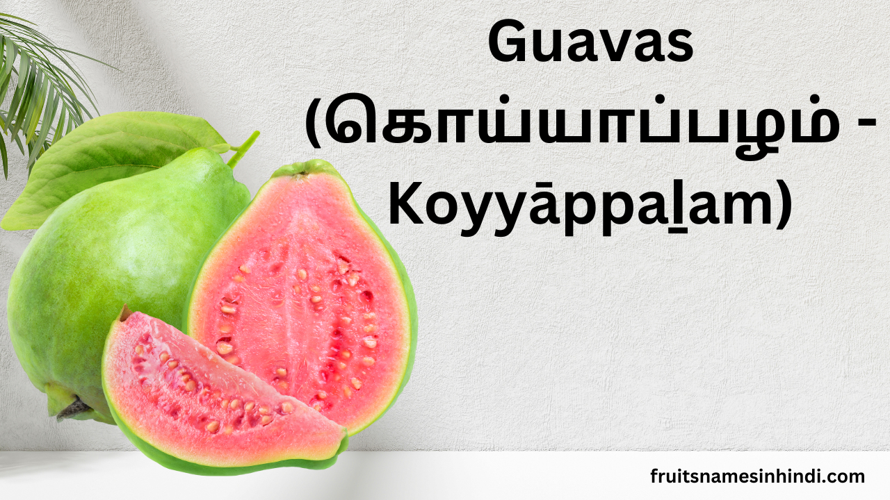 Guava (Koyyappalam)