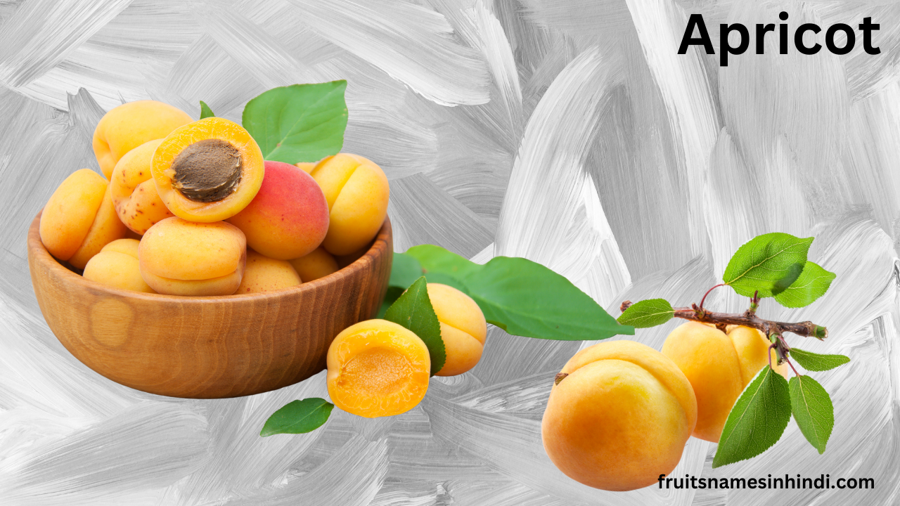 Apricot Dry Fruit
