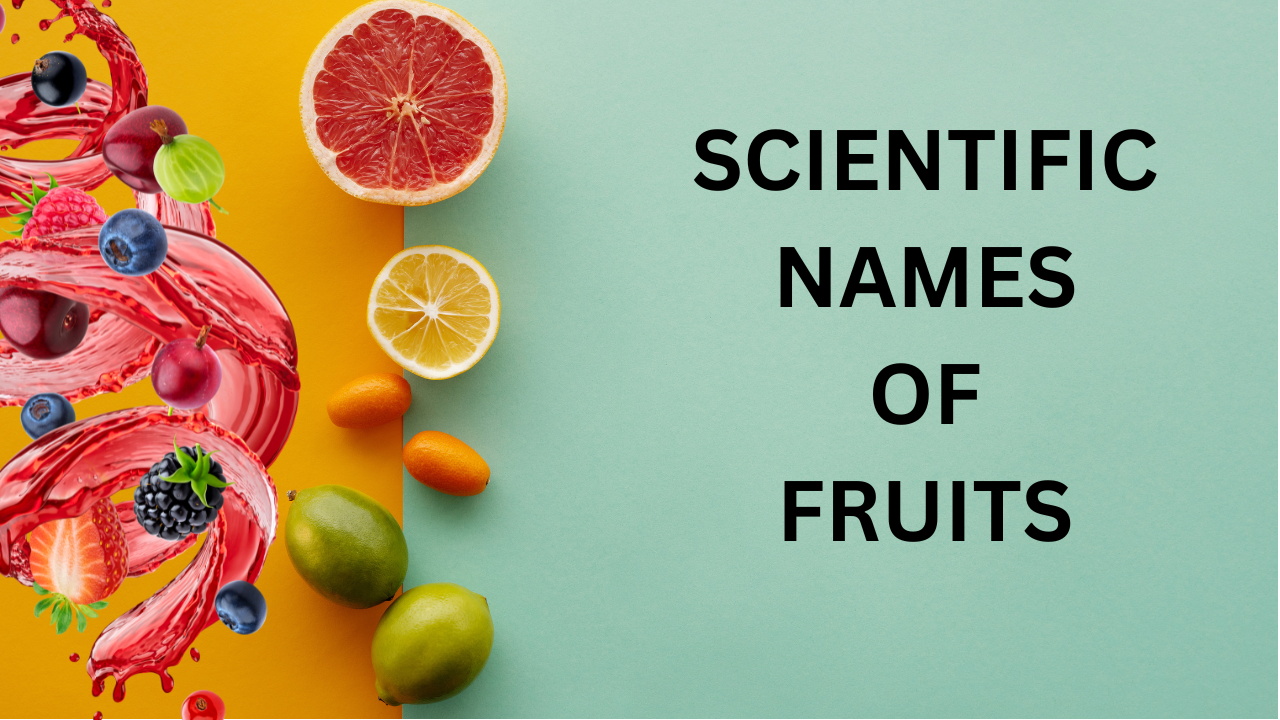 Scientific names of fruits