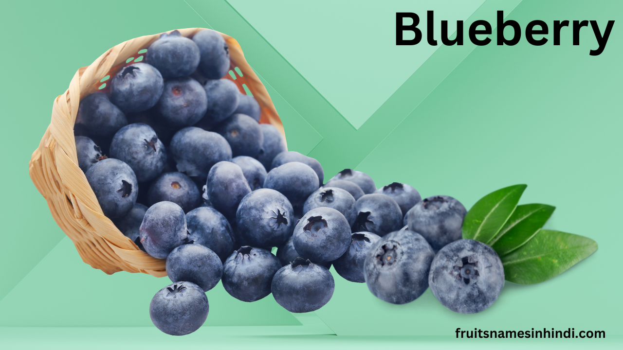 Blueberry Dry Fruit