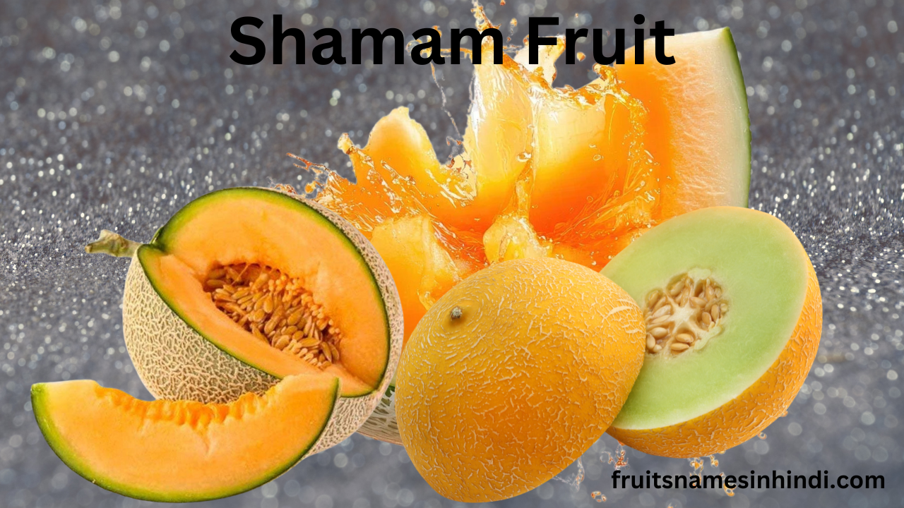 Shamam Fruit In Hindi Name
