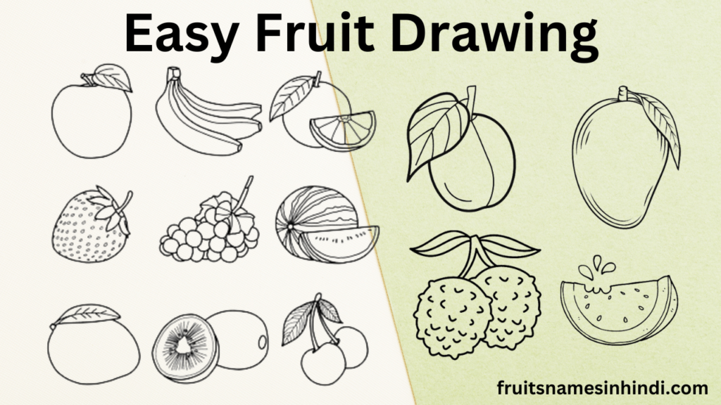 Easy Fruit Drawing In Hindi Step By Step