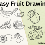 Easy Fruit Drawing In Hindi Step By Step