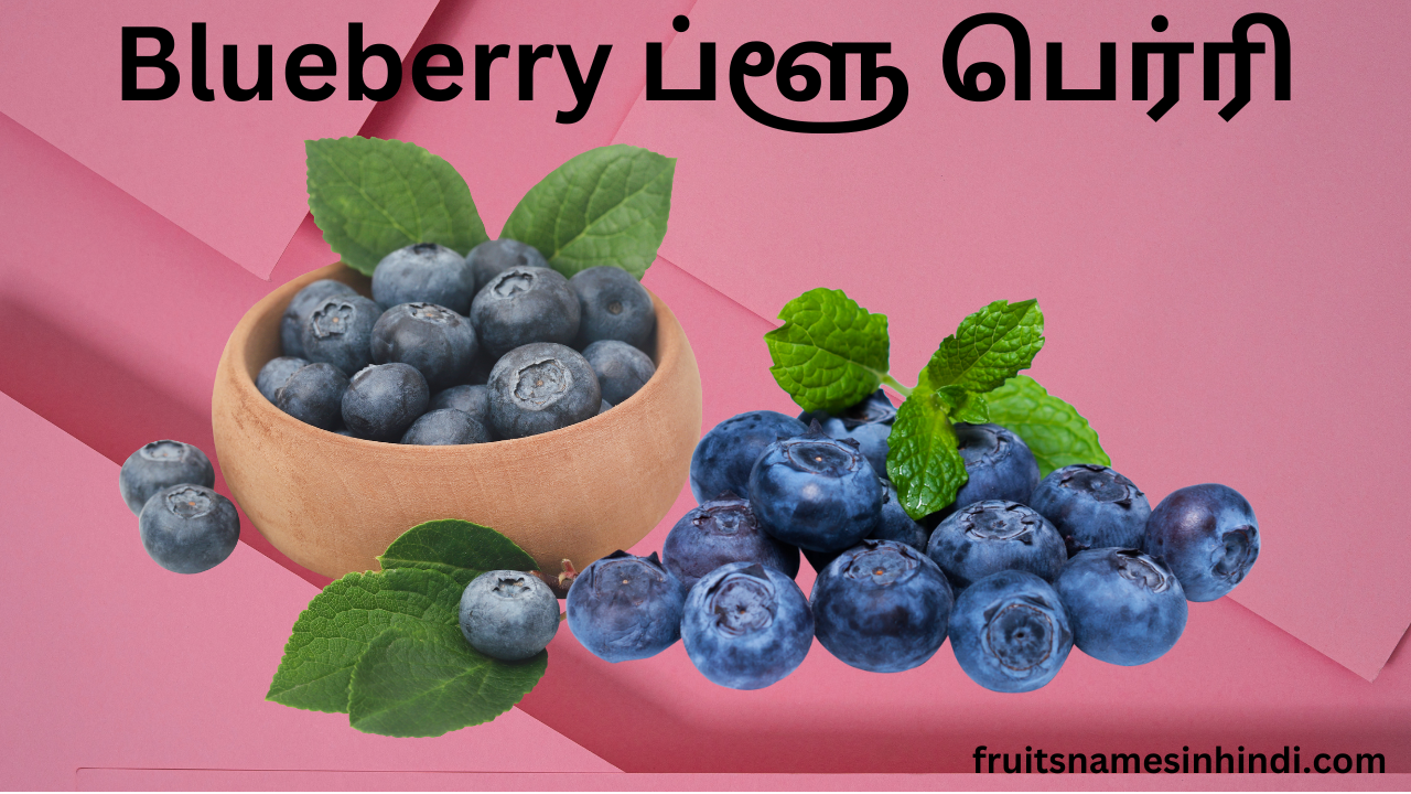 Blueberry Fruit In Tamil In Hindi Wikipedia