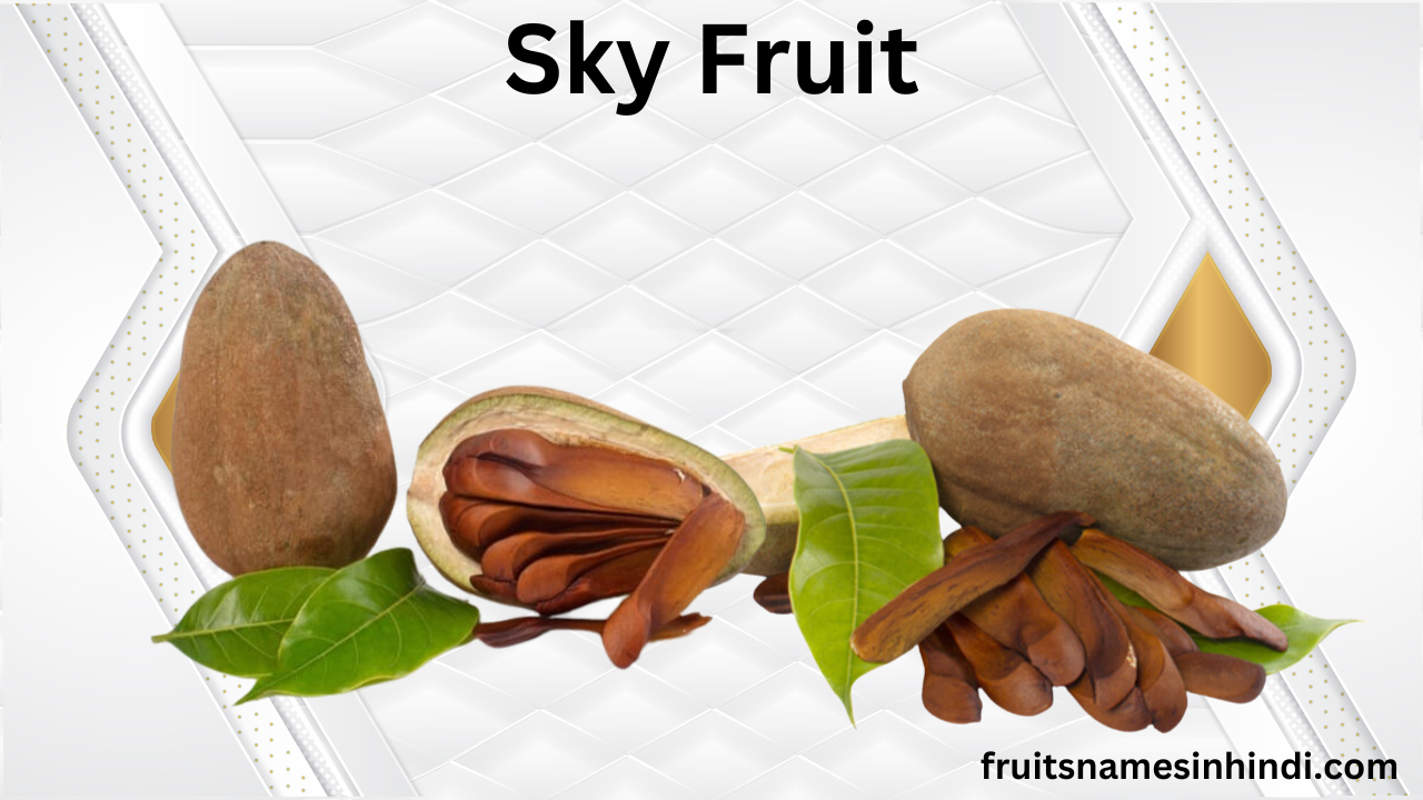Sky Fruit In Hindi In Urdu