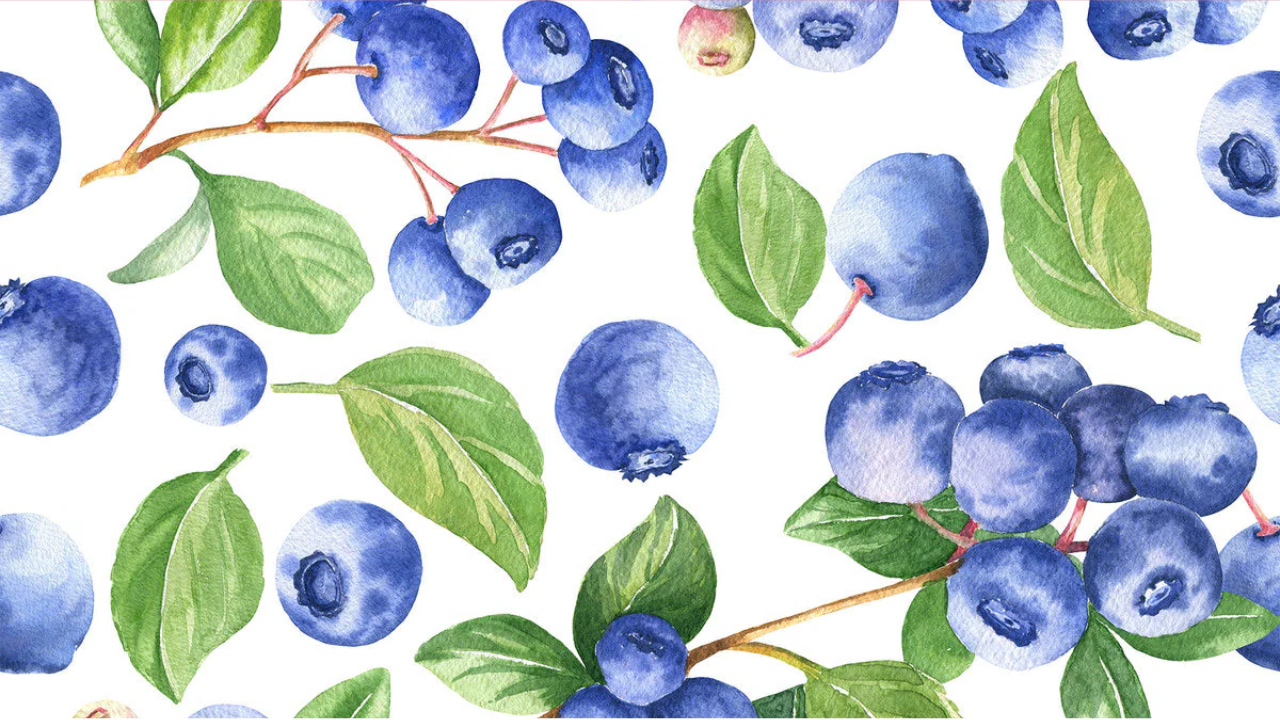 Blueberry Fruit In Tamil In Hindi Online