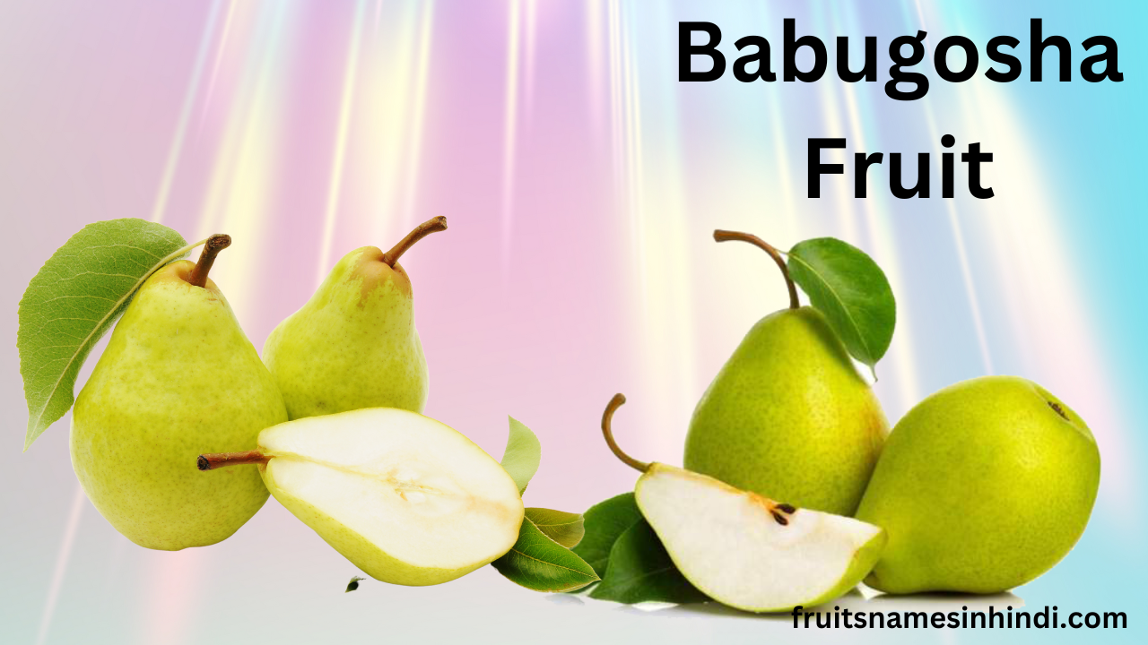 Babugosha Fruit In English