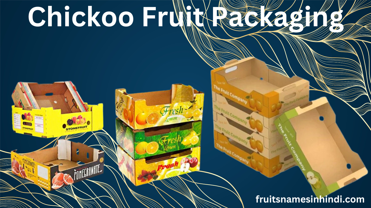Chikoo Fruit In Hindi Benefits