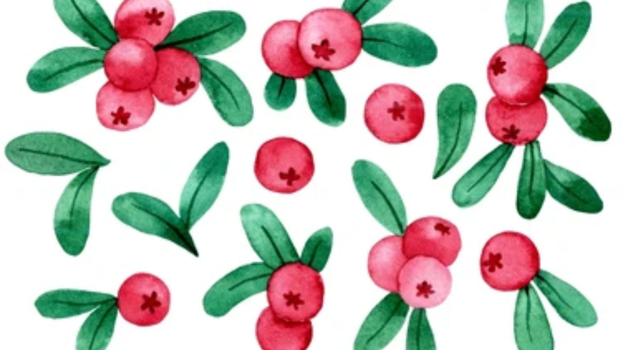 Cranberry Dry Fruit In Hindi Price