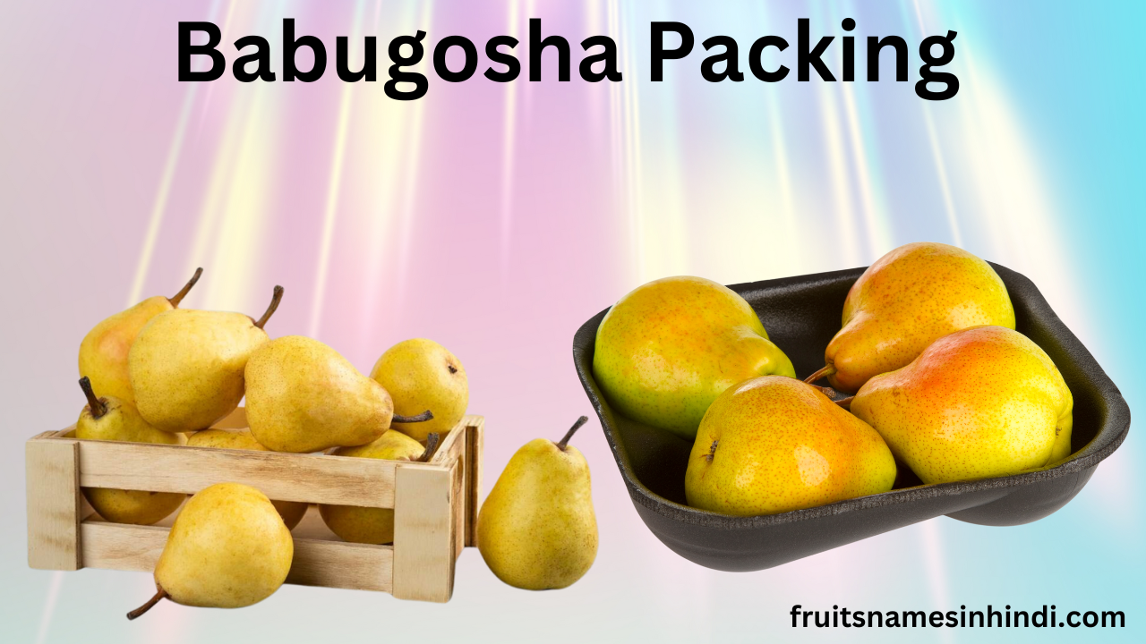 Babugosha Fruit For Sugar Patient