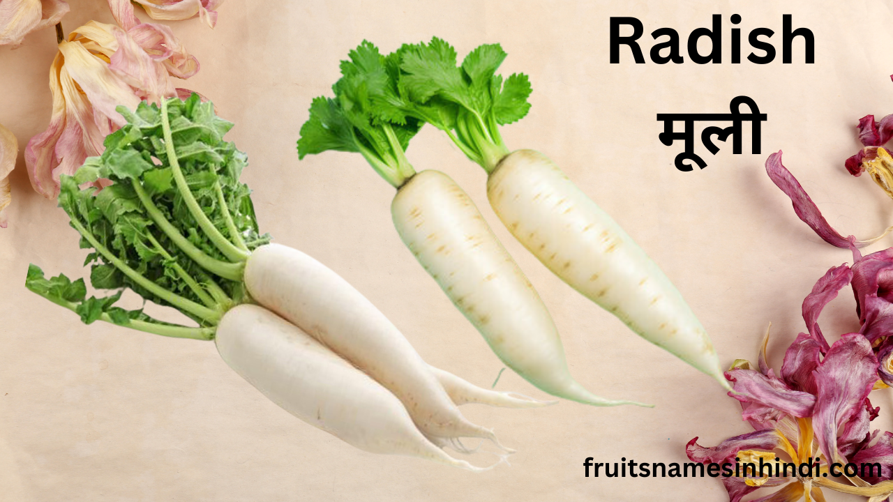 50 Vegetables Name In English