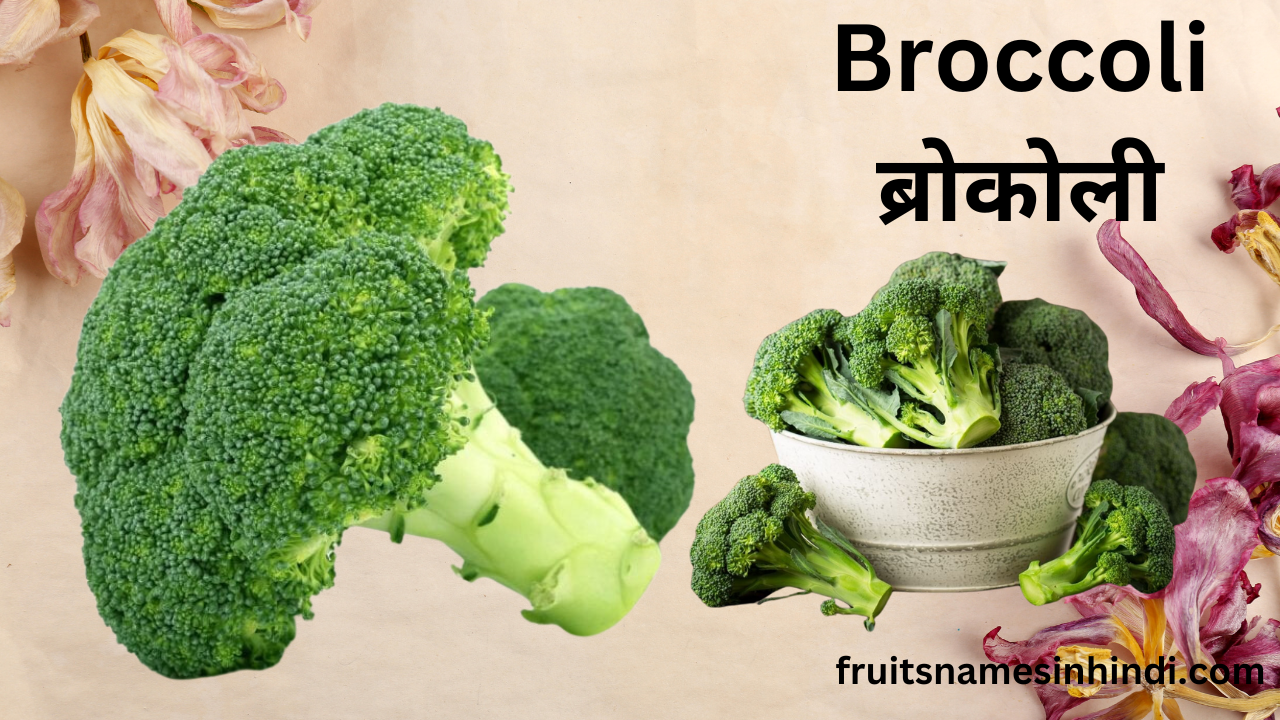 35 Vegetables Name