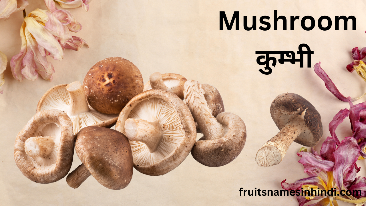 Vegetable Names In Hindi And English In Hindi PDF