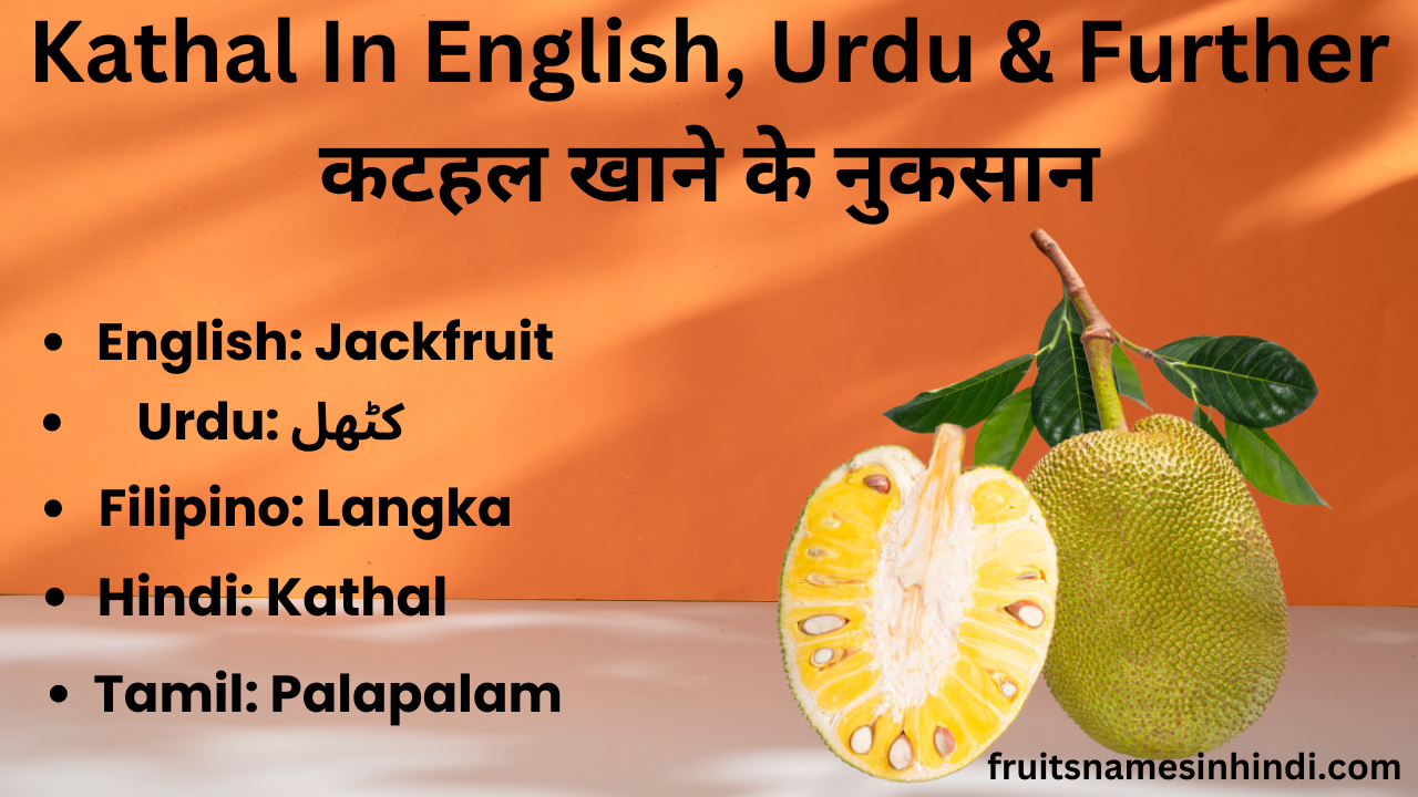 How To Pronounce Jackfruit In Hindi