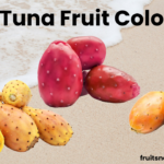 Tunas Fruit Informational 4400 39 0.02 2 Weeks