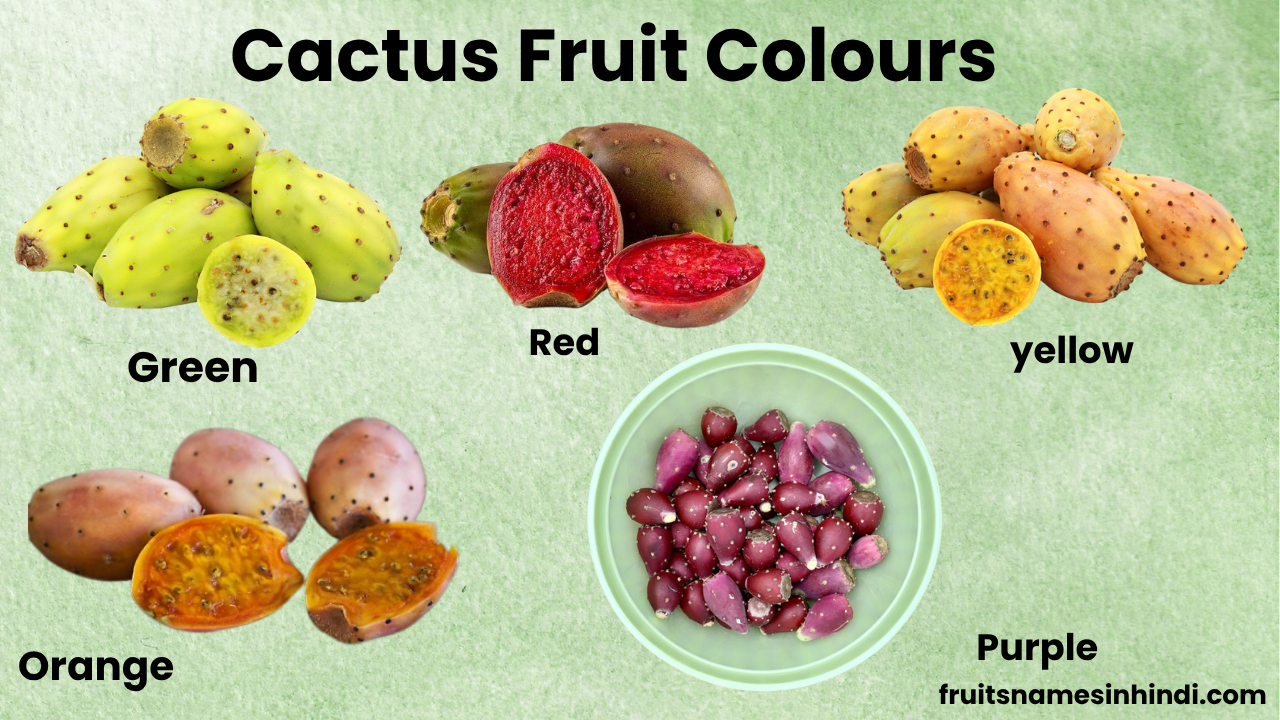 cactus fruit