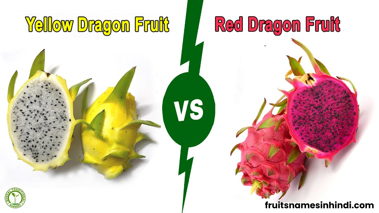 pitaya yellow dragon fruit