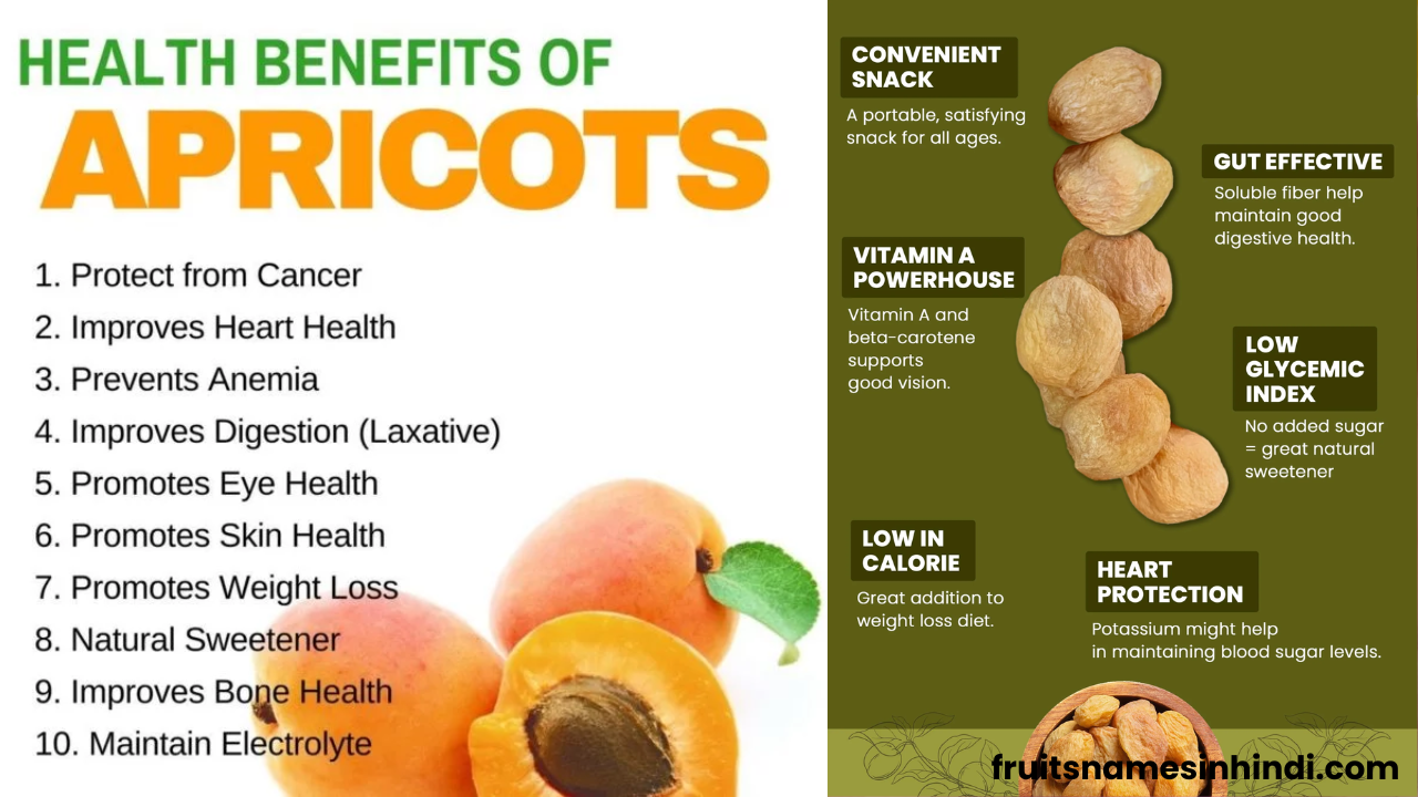 what is stone fruits