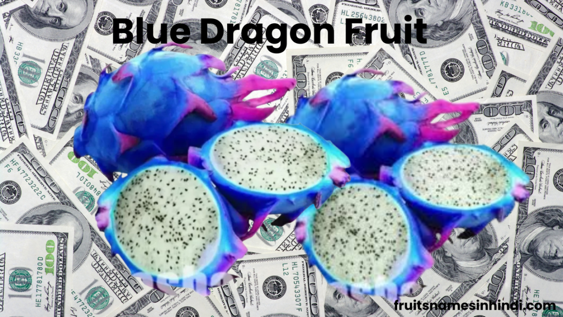 Blue Fruits